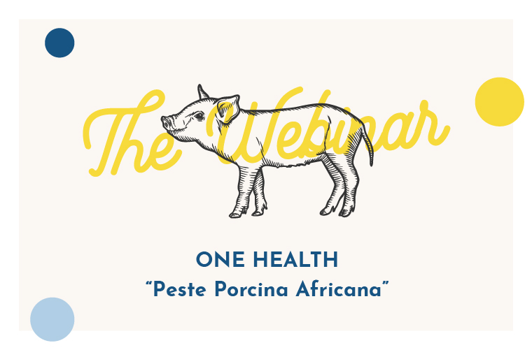 One Health PPA Peste Porcina Africana