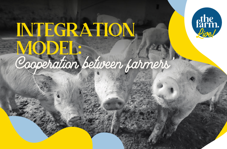 Modelo integración porcina The Farm The Farm Revolution