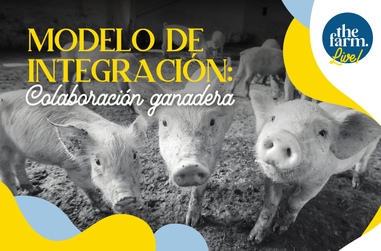 Modelo de integración porcino The Farm Revolution