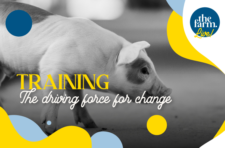 The Farm Revolution training pork sector