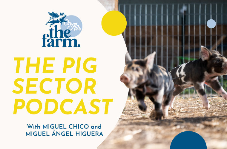 Pig sector podcast the farm on air