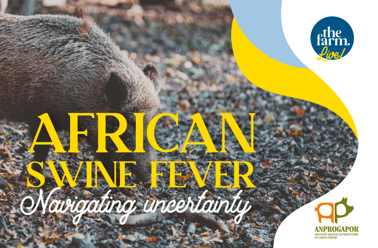 ASF African swine fever