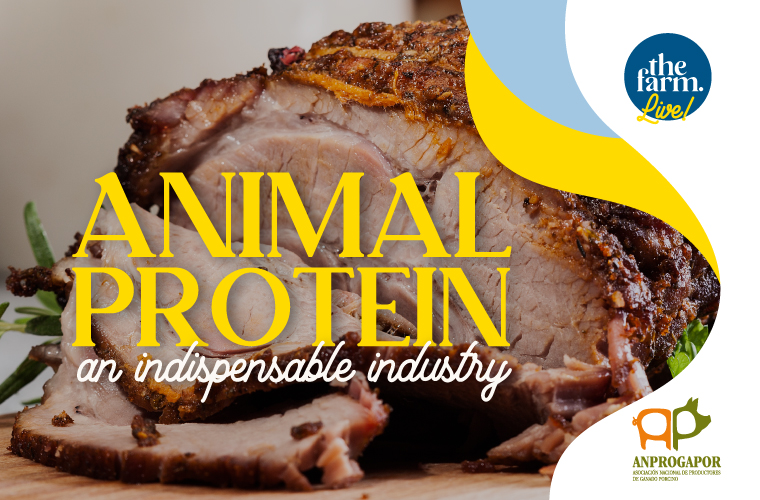 animal protein